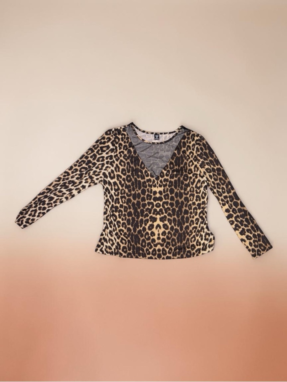 SHEIN Brown Leopard Print V-Neck Long Sleeve Top